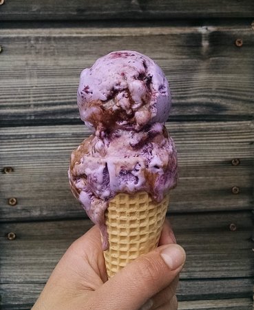 Wild Scoops in Anchorage Alaska has diverse local flavors like their blueberry balsamic.