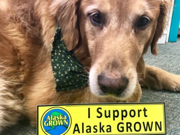 Budget Cuts Threaten Alaskan Agriculture